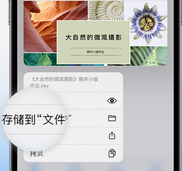 红河apple维修中心分享iPhone文件应用中存储和找到下载文件