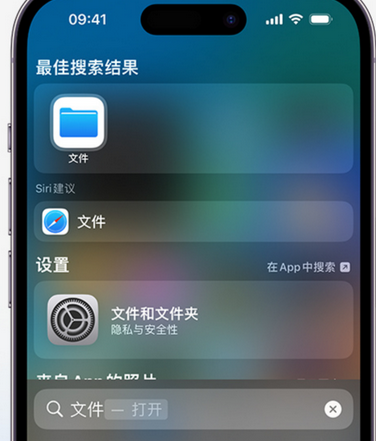 红河apple维修中心分享iPhone文件应用中存储和找到下载文件 