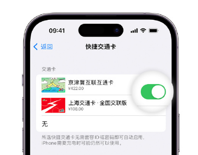 红河apple维修点分享iPhone上更换Apple Pay快捷交通卡手绘卡面 