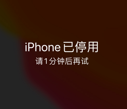 红河苹果手机维修分享:iPhone 显示“不可用”或“已停用”怎么办？还能保留数据吗？ 