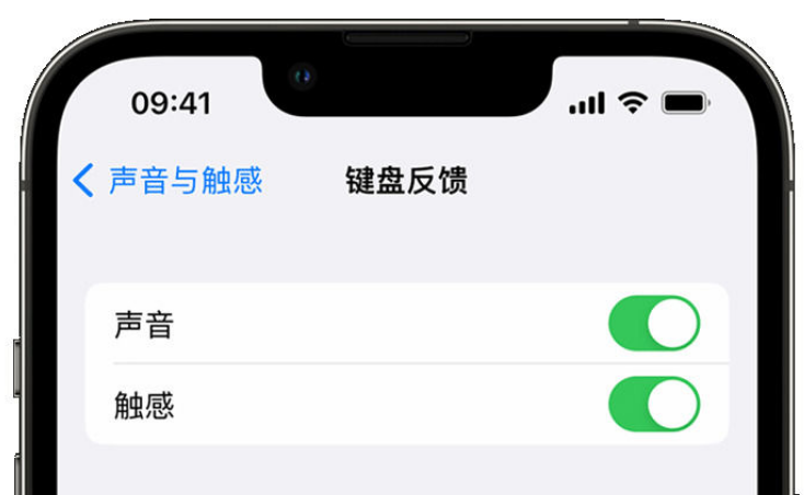 红河苹果手机维修分享iPhone 14触感键盘使用方法 