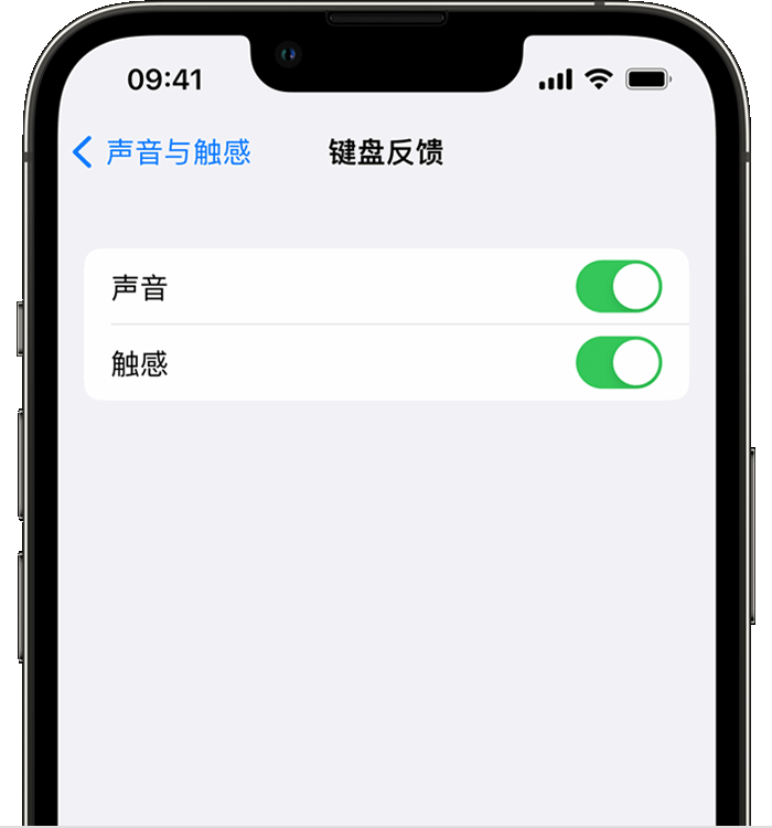 红河苹果14维修店分享如何在 iPhone 14 机型中使用触感键盘 