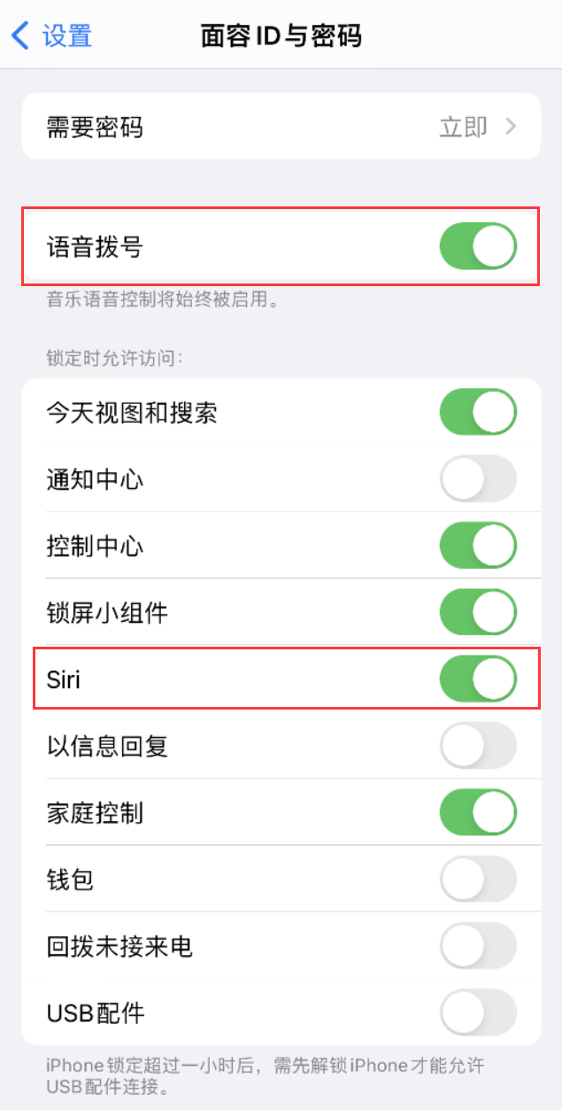 红河苹果维修网点分享不解锁 iPhone 的情况下通过 Siri 拨打电话的方法 