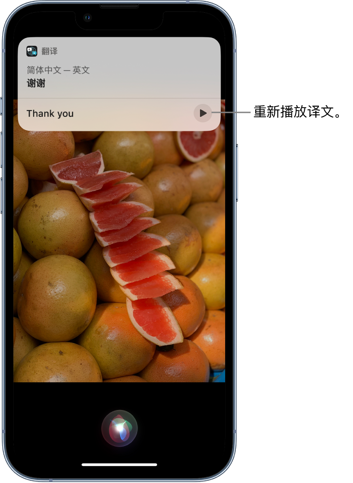 红河苹果14维修分享 iPhone 14 机型中使用 Siri：了解 Siri 能帮你做什么 