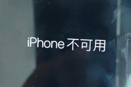 红河苹果服务网点分享锁屏界面显示“iPhone 不可用”如何解决 